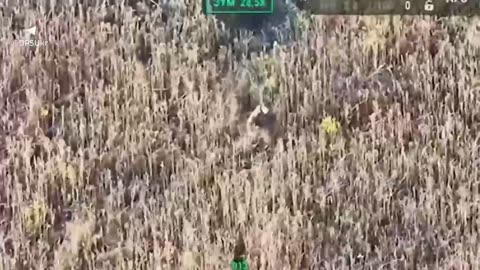 🔥"Steel Border" destroys enemy attack aircraft and shelters in the Kursk direction