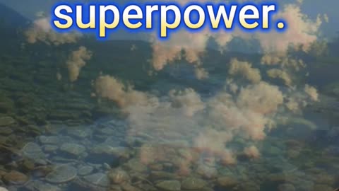 “Your Vision Is Your Superpower”