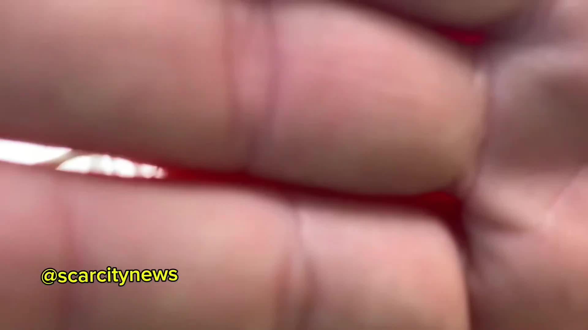 LGBT Peto Gets Caught