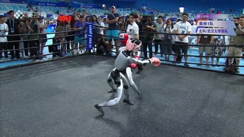 No CG: Real Robot Boxing Test