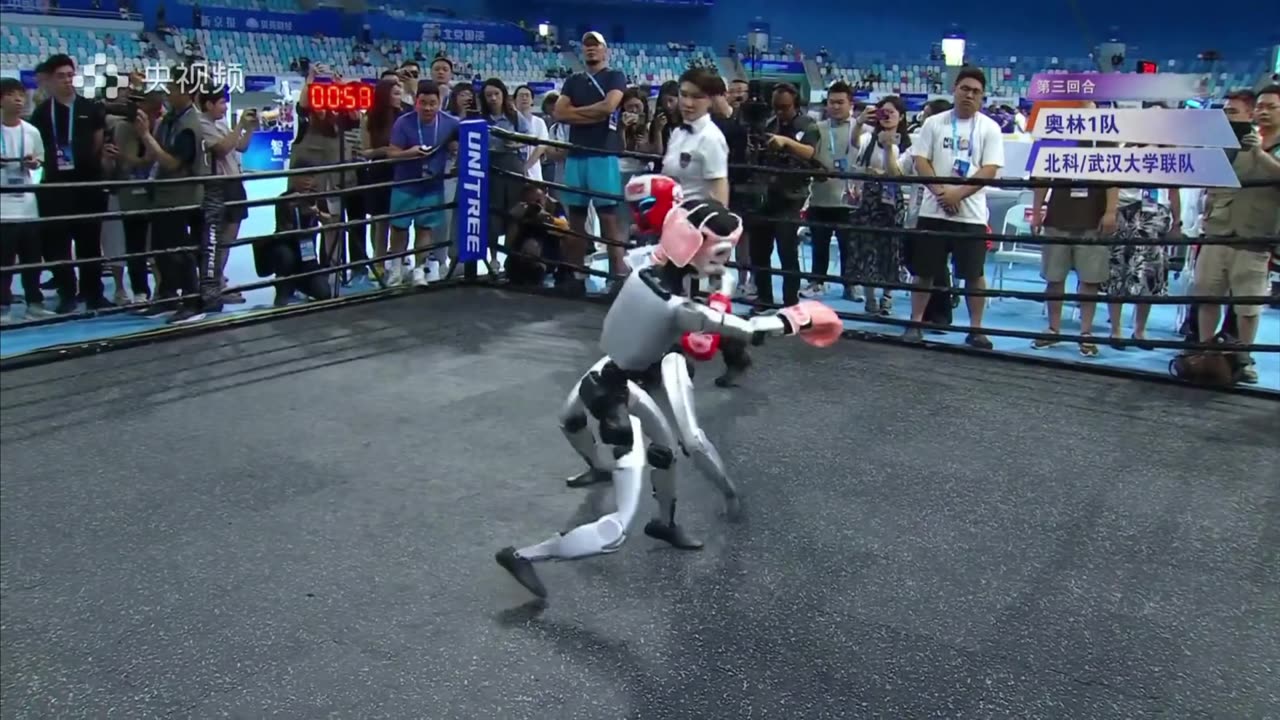 No CG: Real Robot Boxing Test