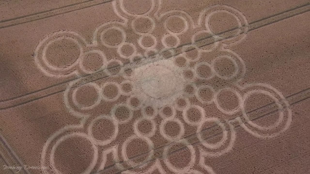 Crop Circle | Lane End Down, près de Beauworth, Hampshire | 09/07/23