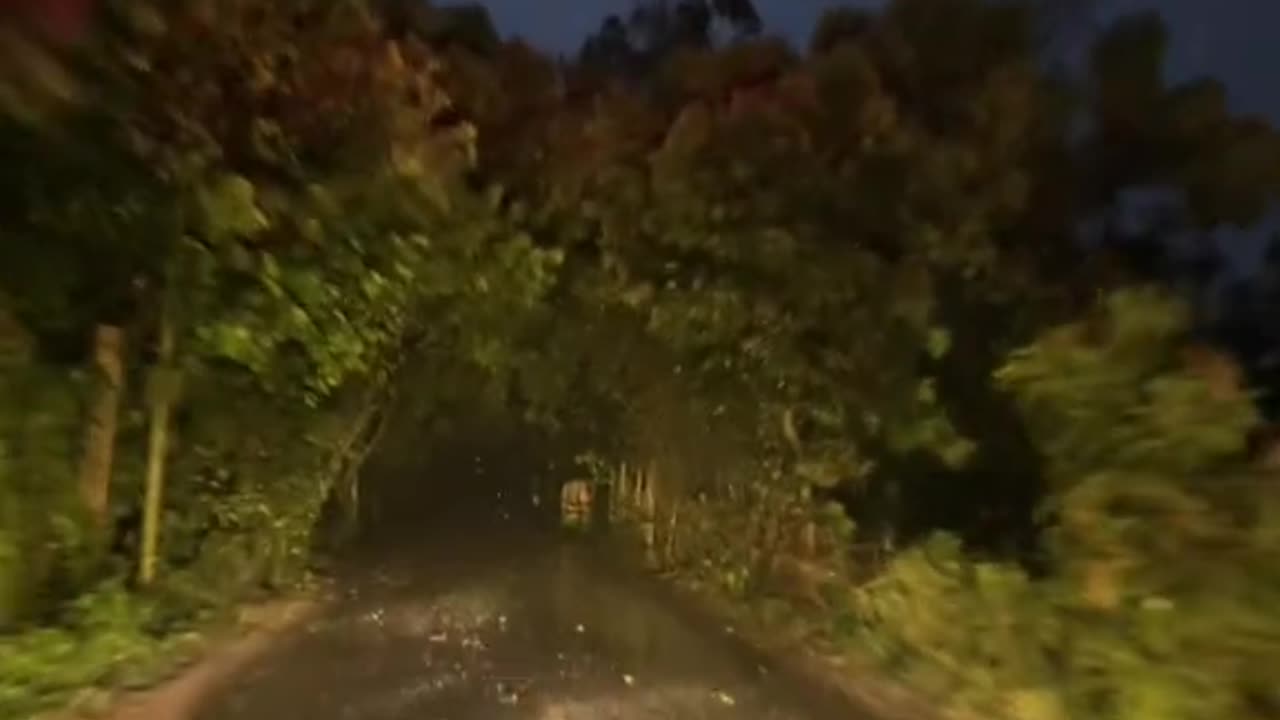 vrail video