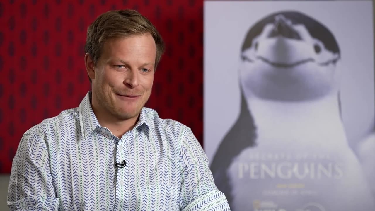 Nat Geo wildlife series reveals 'new penguin secrets,' says host