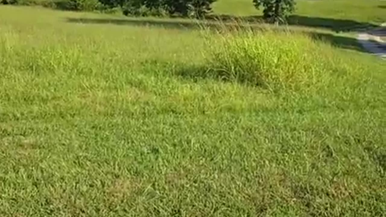 Catch #324 Timothy 61 of Mountain Grove, MO on attempted meet w a 11yo decoy