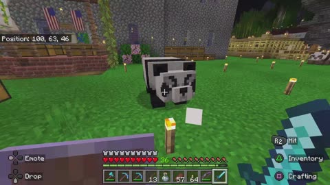 Minecraft - Angry Panda 2
