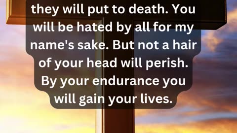 Journey of faith and spiritual growth Luke 21:16-19 Daily Bible Verse
