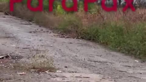 "Look Guys, The Tanks Here. Now They're Gonna Get it"