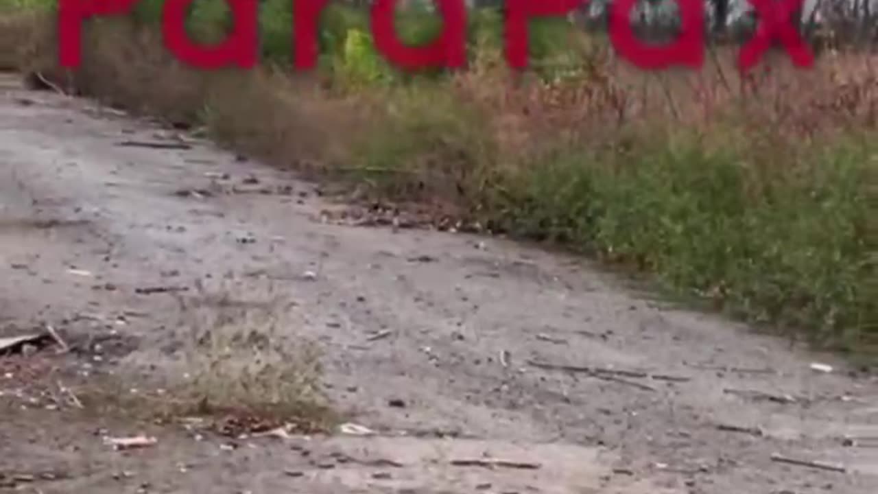 "Look Guys, The Tanks Here. Now They're Gonna Get it"