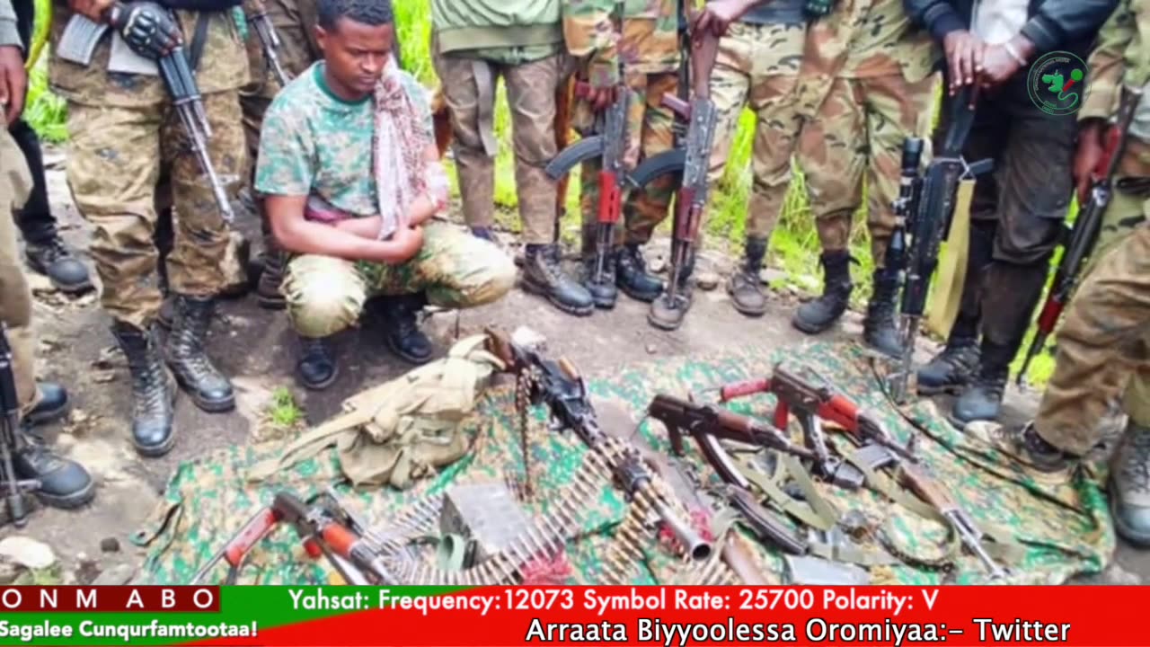 Gabaasa Tarkaanfii ONM-ABO Adoolessa 5-2025 itti dhiyaadhaa!