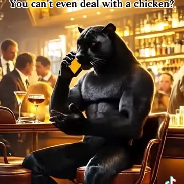 The orange cat the met