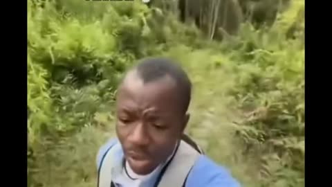 Real Scary Clips 😱 Terrifying Moments Caught on Camera