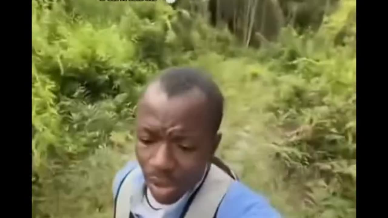Real Scary Clips 😱 Terrifying Moments Caught on Camera
