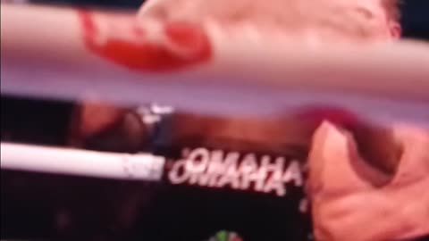 Bud and canelo swinging leather