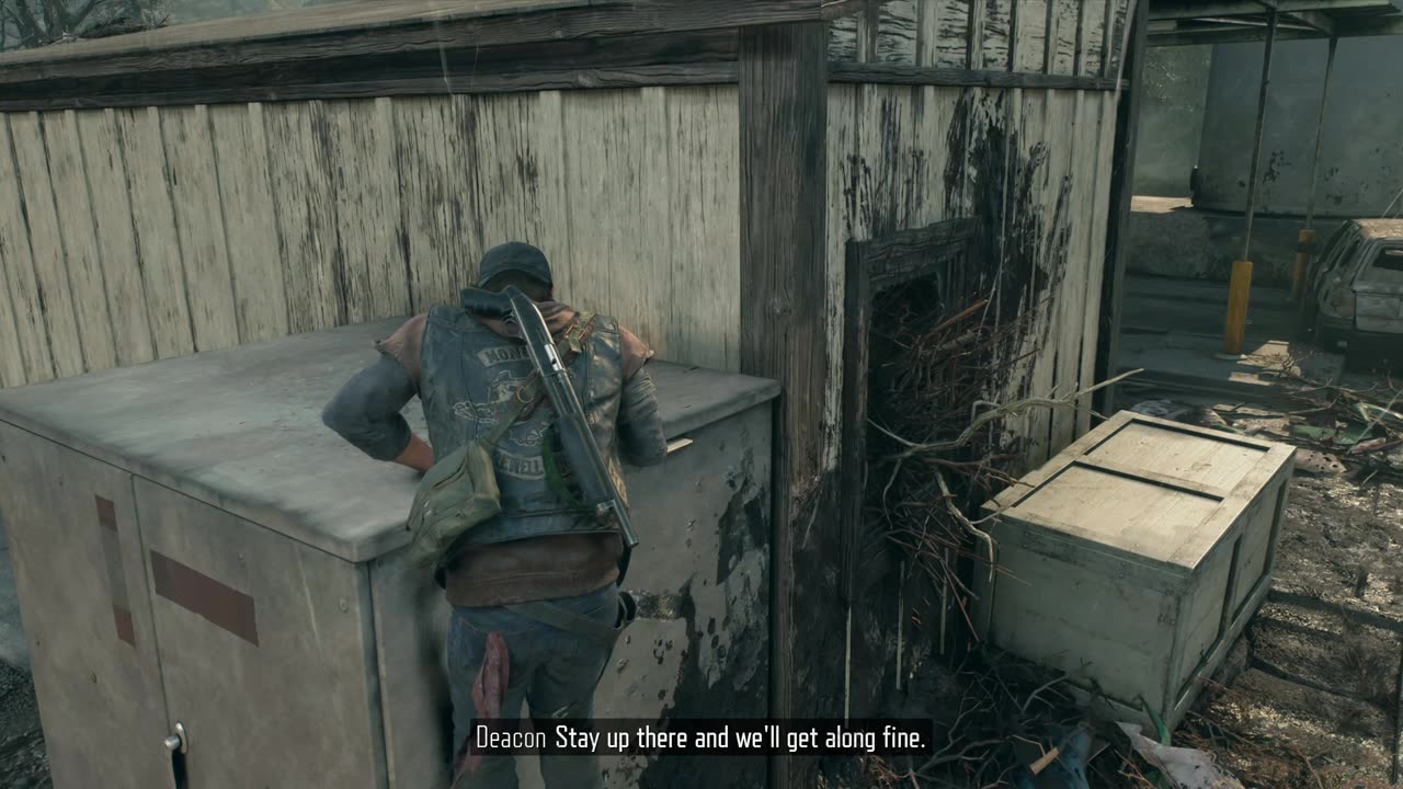 Days Gone - 2