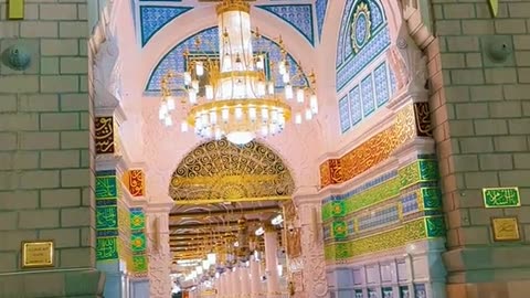 best MEDINA SHARIF