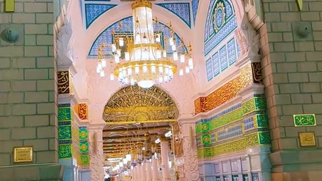 best MEDINA SHARIF