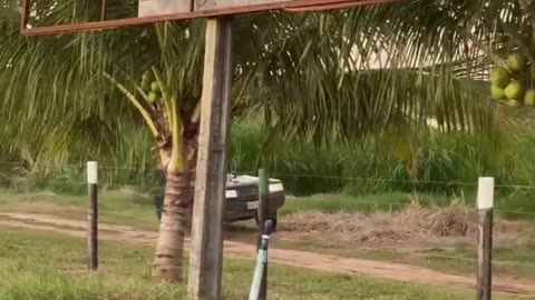 😂🤣 This Looks Like Fun! | FunFM