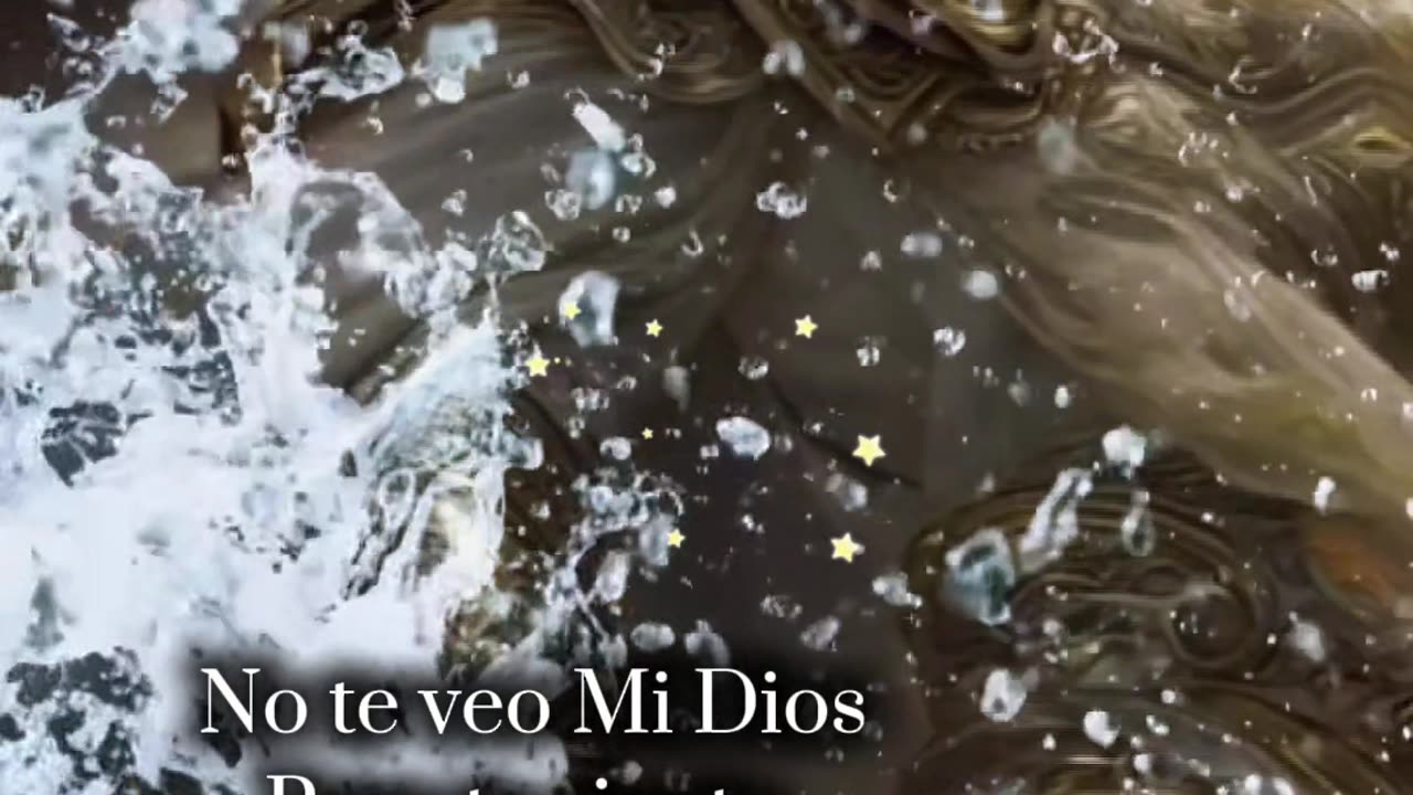 REFLEXIÓN ✨️ ✨️ ✨️ ✨️ ✨️ ✨️