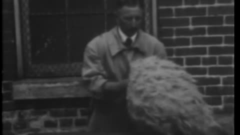 GOLDEN FLEECE, THE - GOLDEN FLEECE, THE - 33-192
