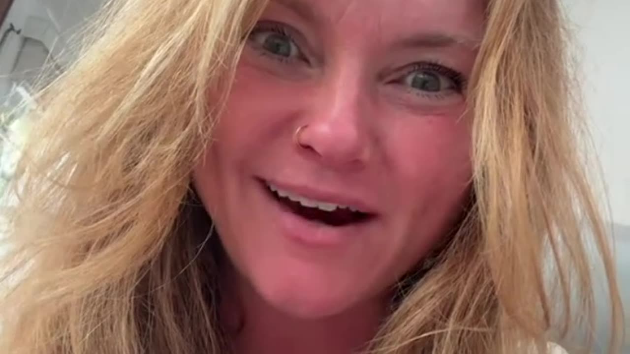 How did the dog get on top of the tree