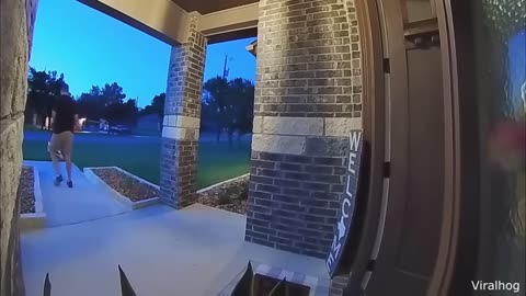 Best Delivery Driver Videos of the Decade