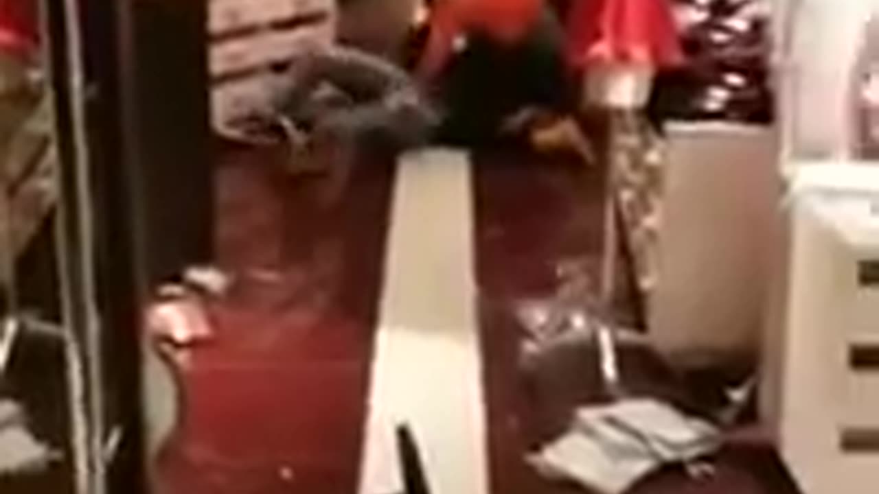 Holiday brawl at Orland Mall