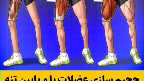 قوز کمر
