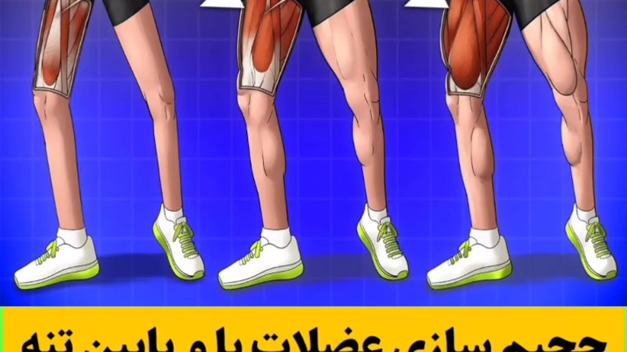 قوز کمر