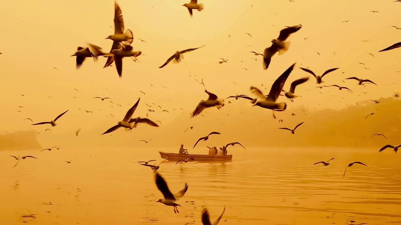قرآن كريم بصوت جميل جدا قبل النوم راحة نفسية لا توصف Quran