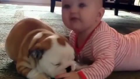 Fun Animals