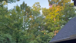 September 14, 2025 - A Tranquil Sunday Morning
