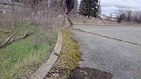 I Discovered A MOSS INFESTED Sidewalk And SCRAPED It Clean_part4