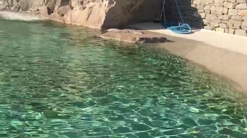 NATURAL POOL