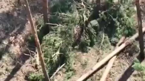 Russian Soldier Seems a Bit Confused About What to Do With Unexploded Drone