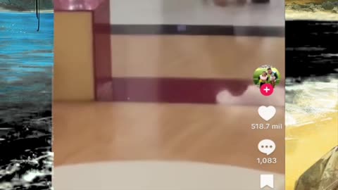 Just shorts videos - Follow 😜😋!!!!!!!