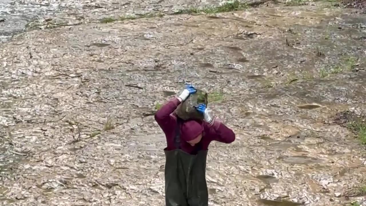 Man Fills River With Perfectly Balanced Stone Towers