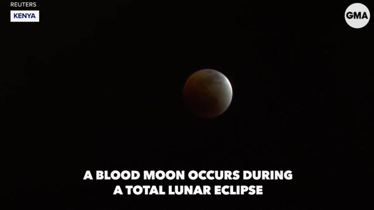 Blood moon total eclipse: 16 views from 8 countries