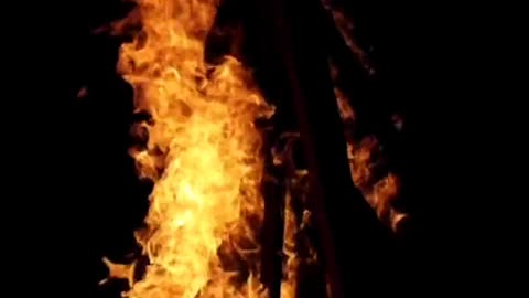 Daily Horoscope | Leo 🌟