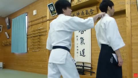 Aikido self-defense techniques