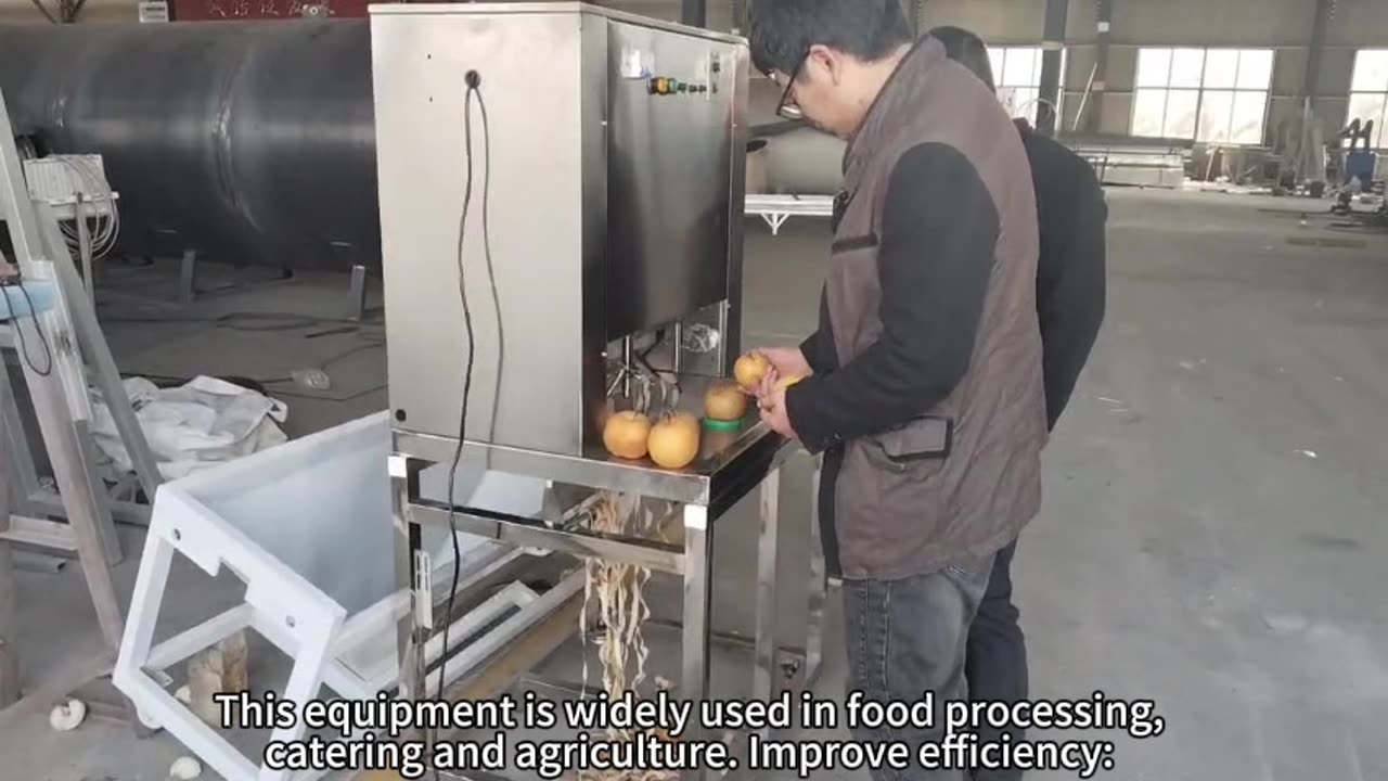 Fruit peeling and core removal equipment