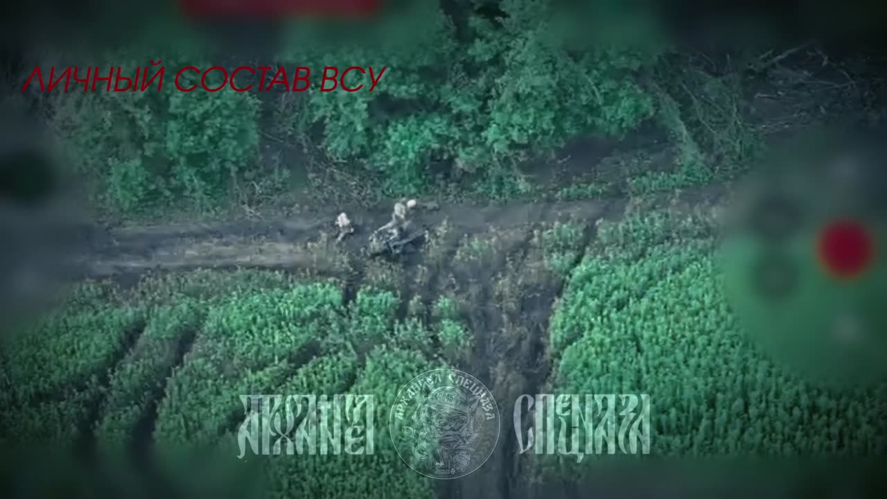 War in ukraine