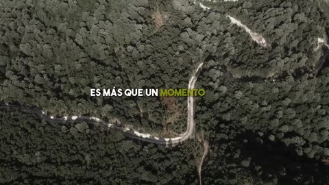 Descubre la ESPIRITUALIDAD de los Gatos ¿Por qué los gatos llegan a tu Vida_ - Yiye Ávila