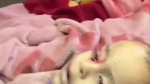 🚨ইসরায়েলি বোমা হামলায় উদ্বাস্তু তাঁবুতে হামলার ঘটনায় ৪ জন শহীদ হয়েছেন এবং আরও কয়েকজন আহত