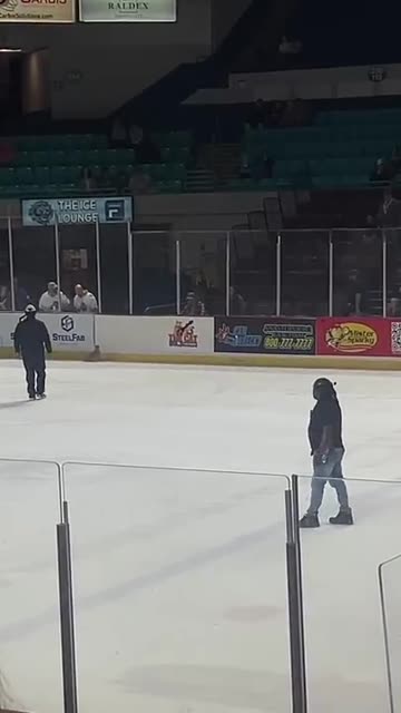 Ice Cat Runs Around Hockey Rink