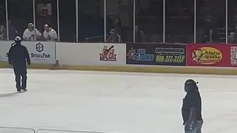 Ice Cat Runs Around Hockey Rink