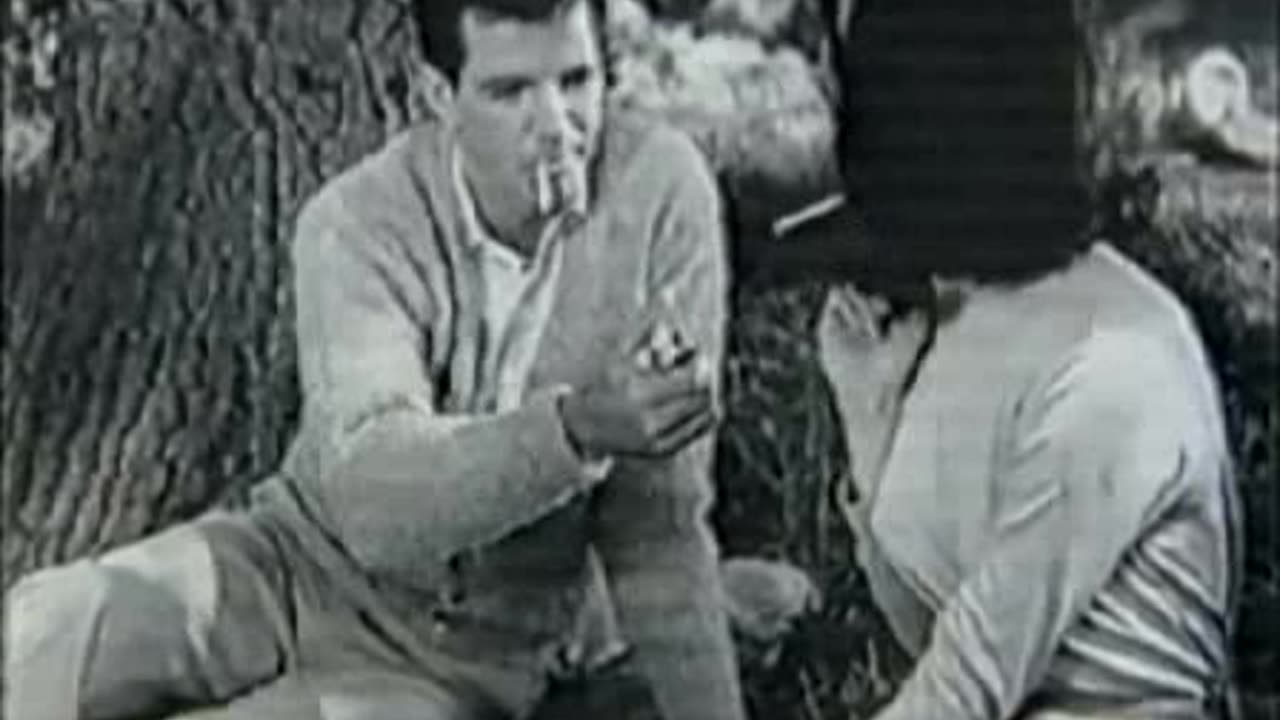 Commercial - Viceroy Cigarettes (Picnic)