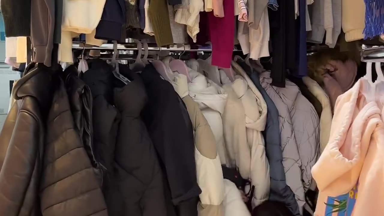 funnyvideosdaily