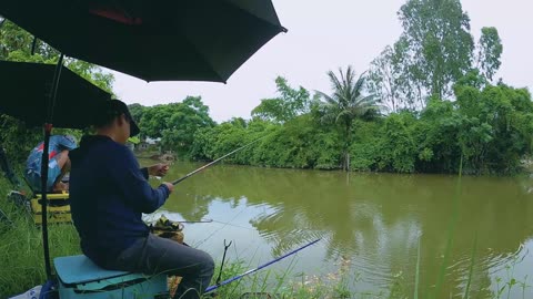 Shad Spin Fishing in River Migration Zones
