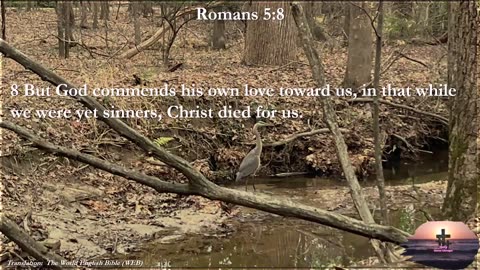Roman 5:8